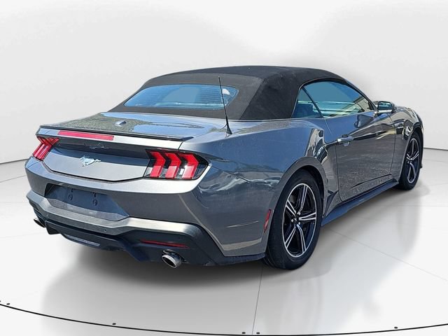 Used 2024 Ford Mustang Premium RWD image 3
