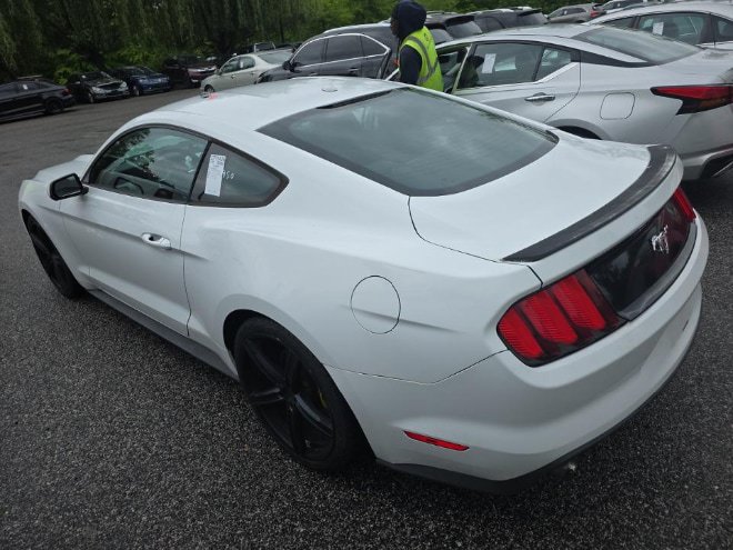 Used 2016 Ford Mustang Premium w/ Equipment Group 201A RWD image 6