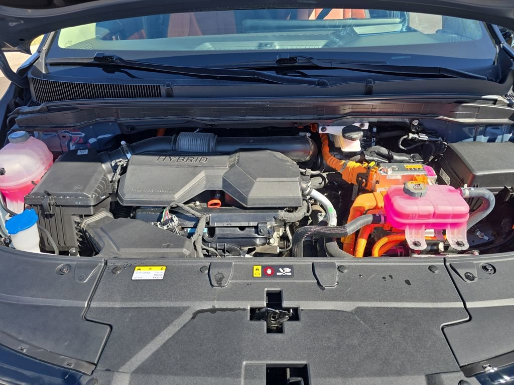 Used 2025 Kia Carnival SX Prestige image 23