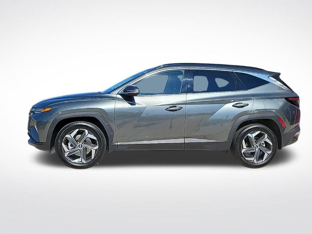 Used 2023 Hyundai Tucson Limited w/ Cargo Package AWD/4WD image 2
