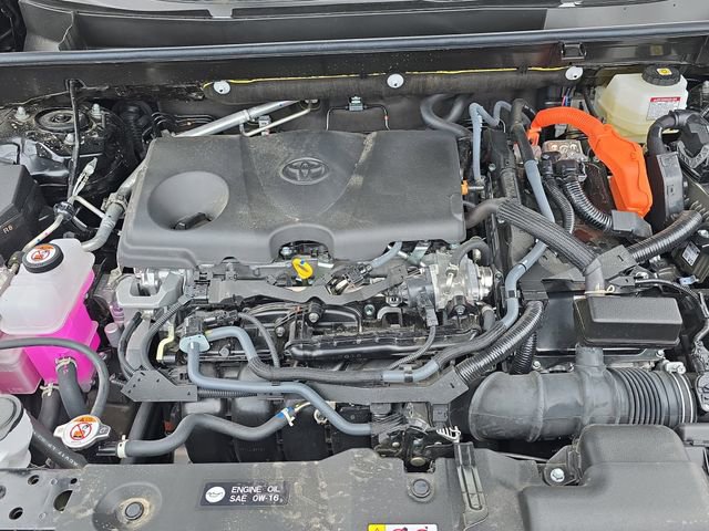 Used 2025 Toyota RAV4 LE image 30