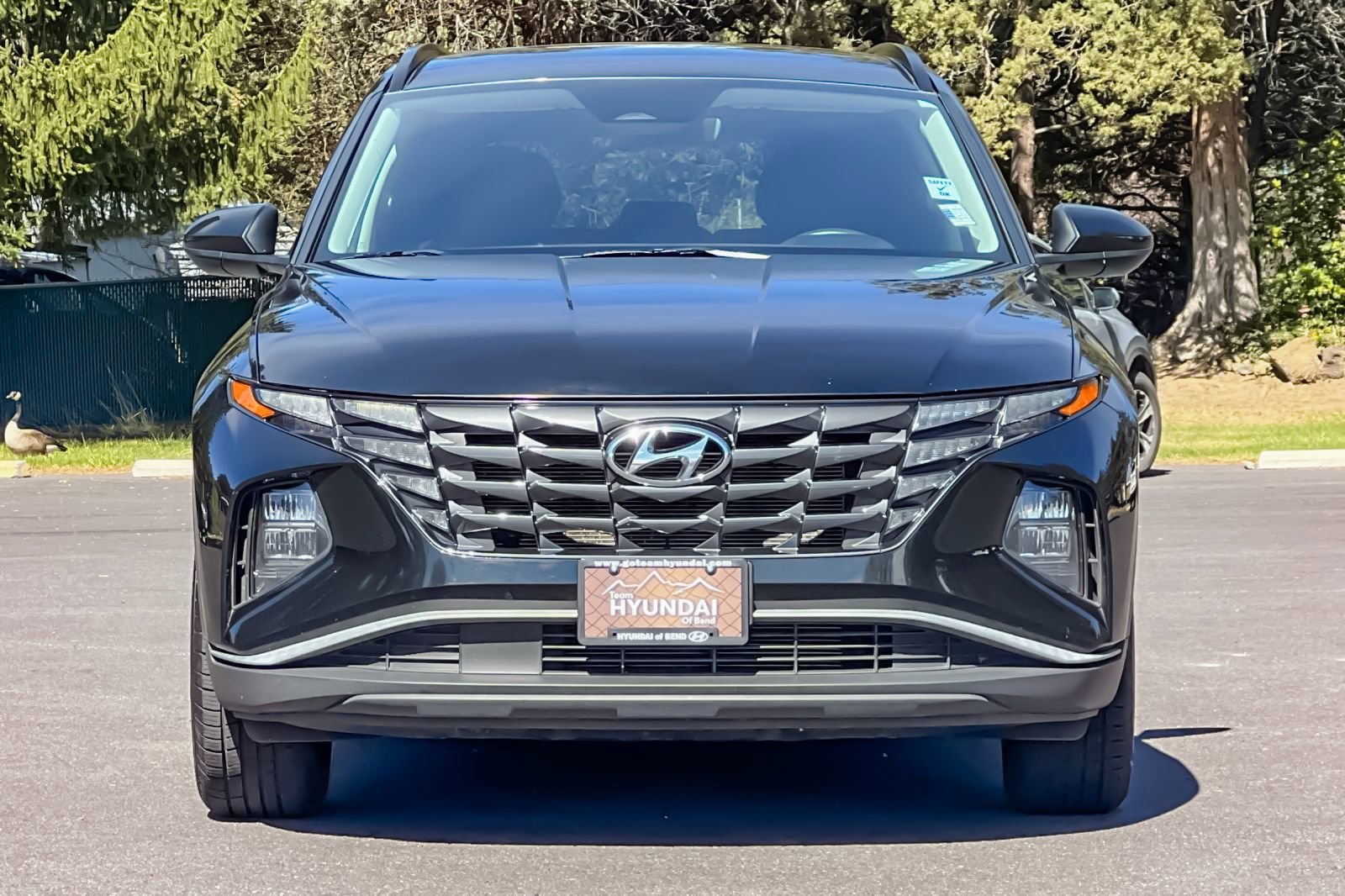Used 2024 Hyundai Tucson SEL image 10