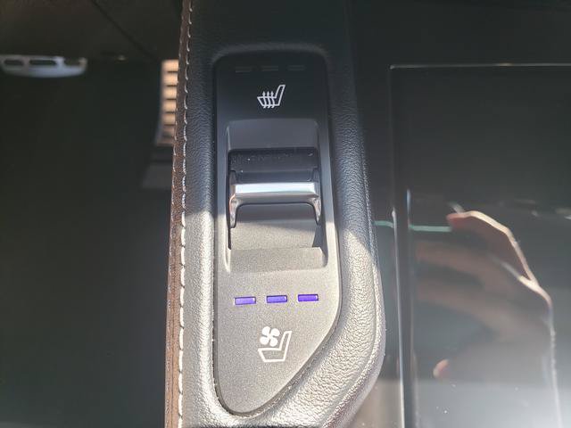Certified 2025 Kia Telluride SX Prestige X-Line AWD/4WD image 23