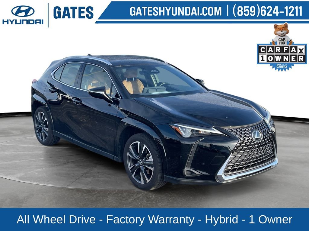 Used 2025 Lexus UX 300h AWD w/ Cold Area Package image 1