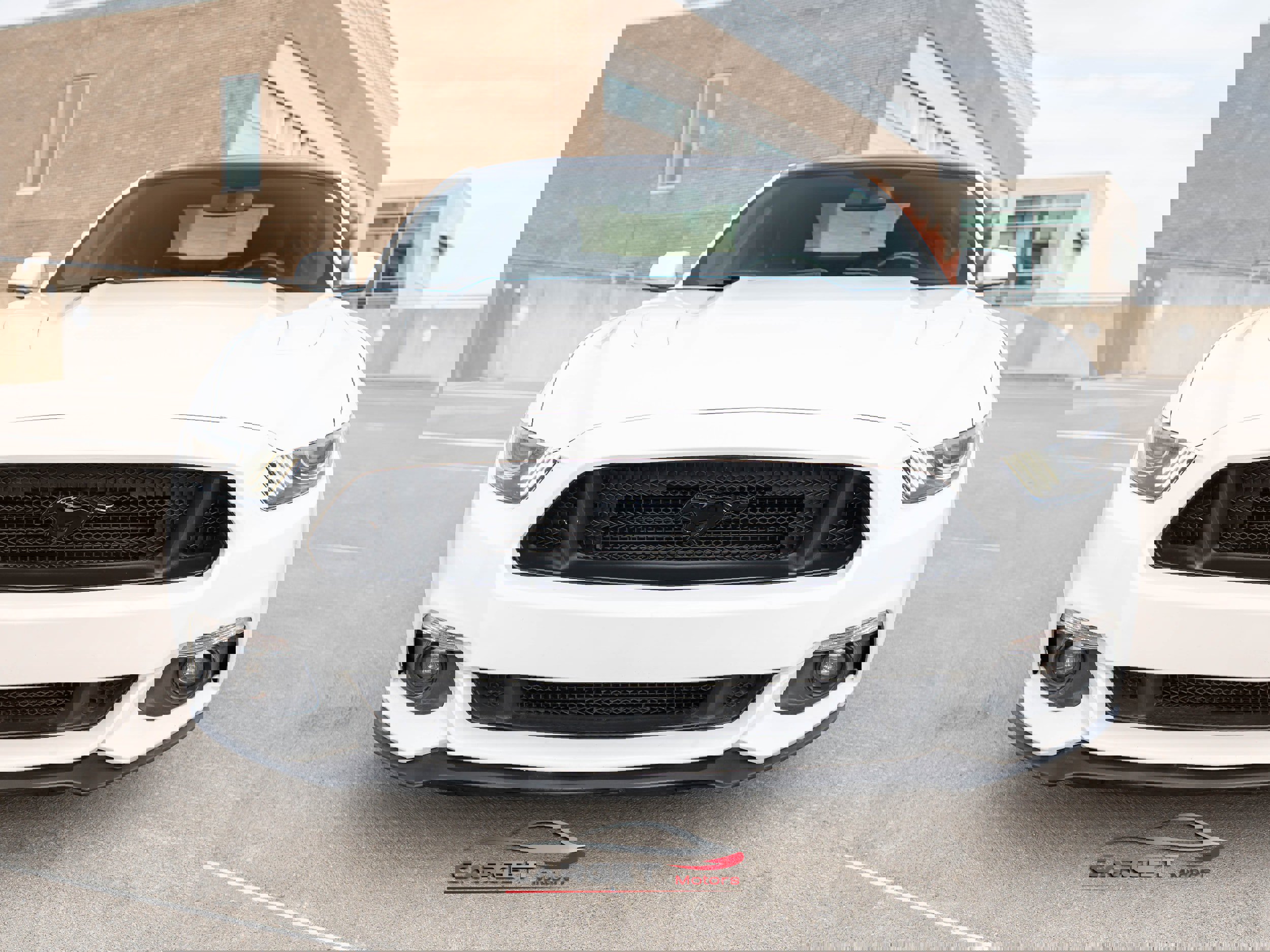 Used 2017 Ford Mustang GT w/ Black Accent Package image 2