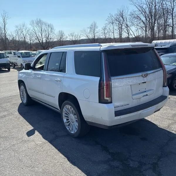 Used 2017 Cadillac Escalade Platinum AWD/4WD image 5