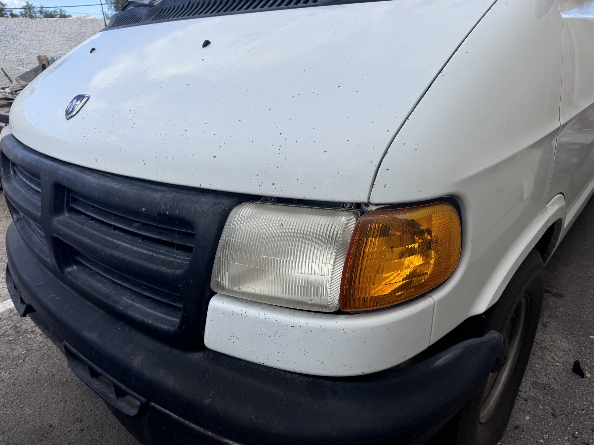 Used 2000 Dodge B1500 RWD image 32