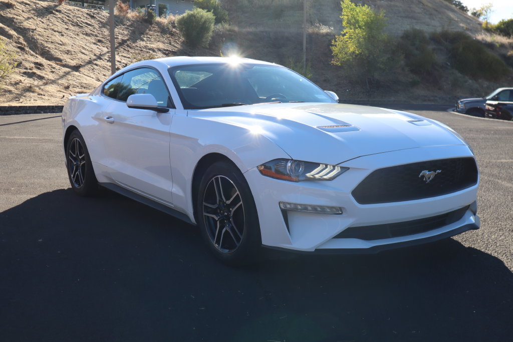 Used 2019 Ford Mustang Coupe w/ Equipment Group 101A RWD image 3