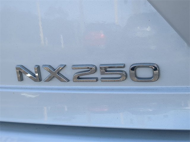 Used 2024 Lexus NX 250 250 Premium image 14