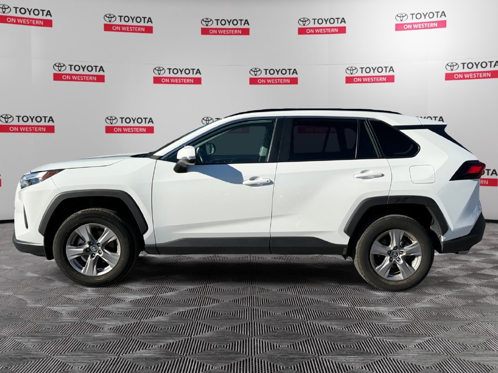Certified 2025 Toyota RAV4 XLE AWD/4WD image 8