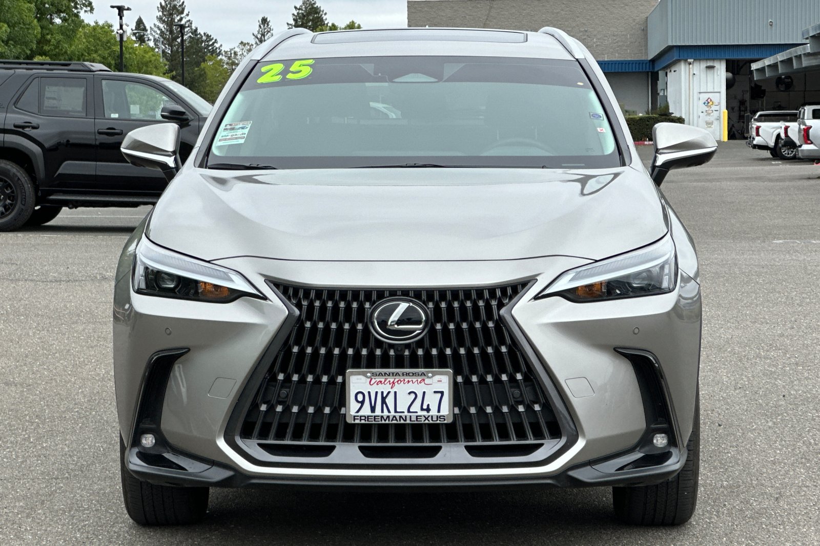 Used 2025 Lexus NX 350 AWD w/ Cold Area Package image 9