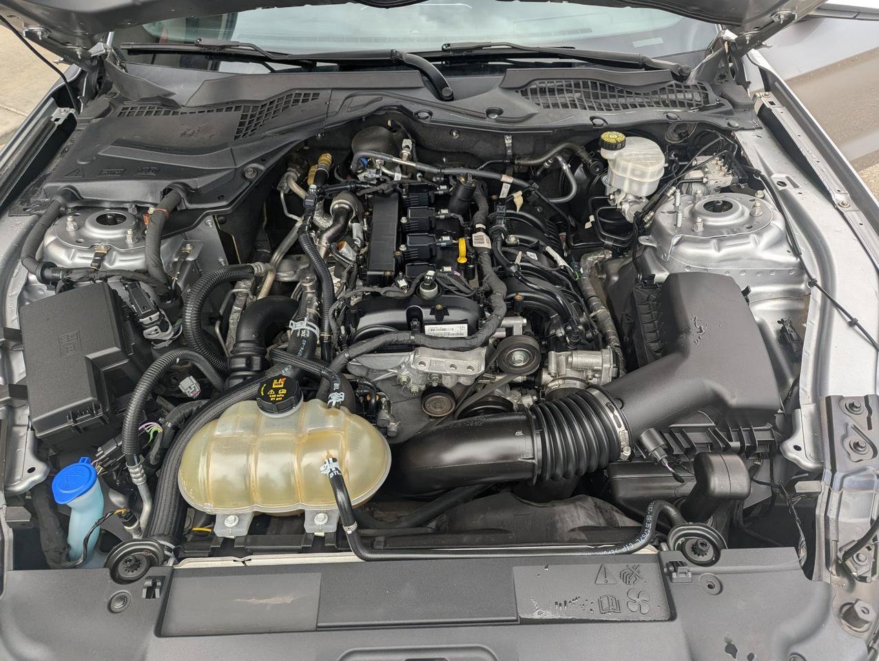 Used 2021 Ford Mustang Premium RWD image 26