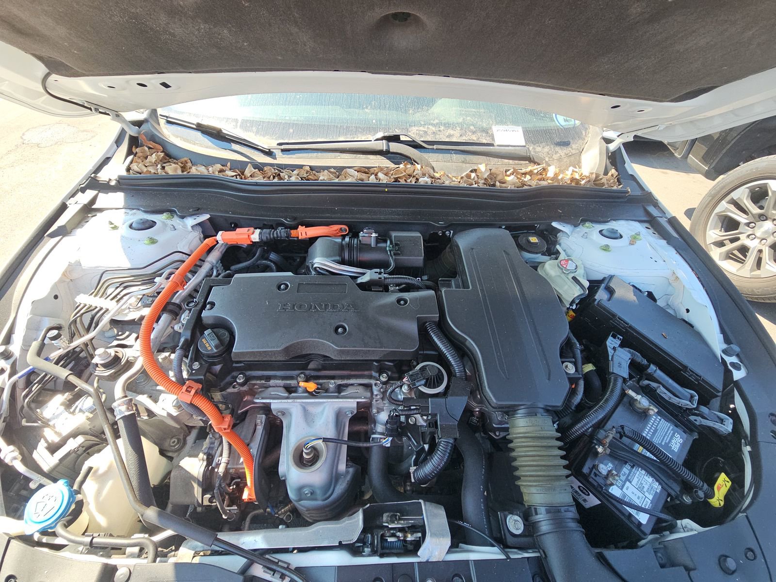 Used 2021 Honda Accord EX image 14