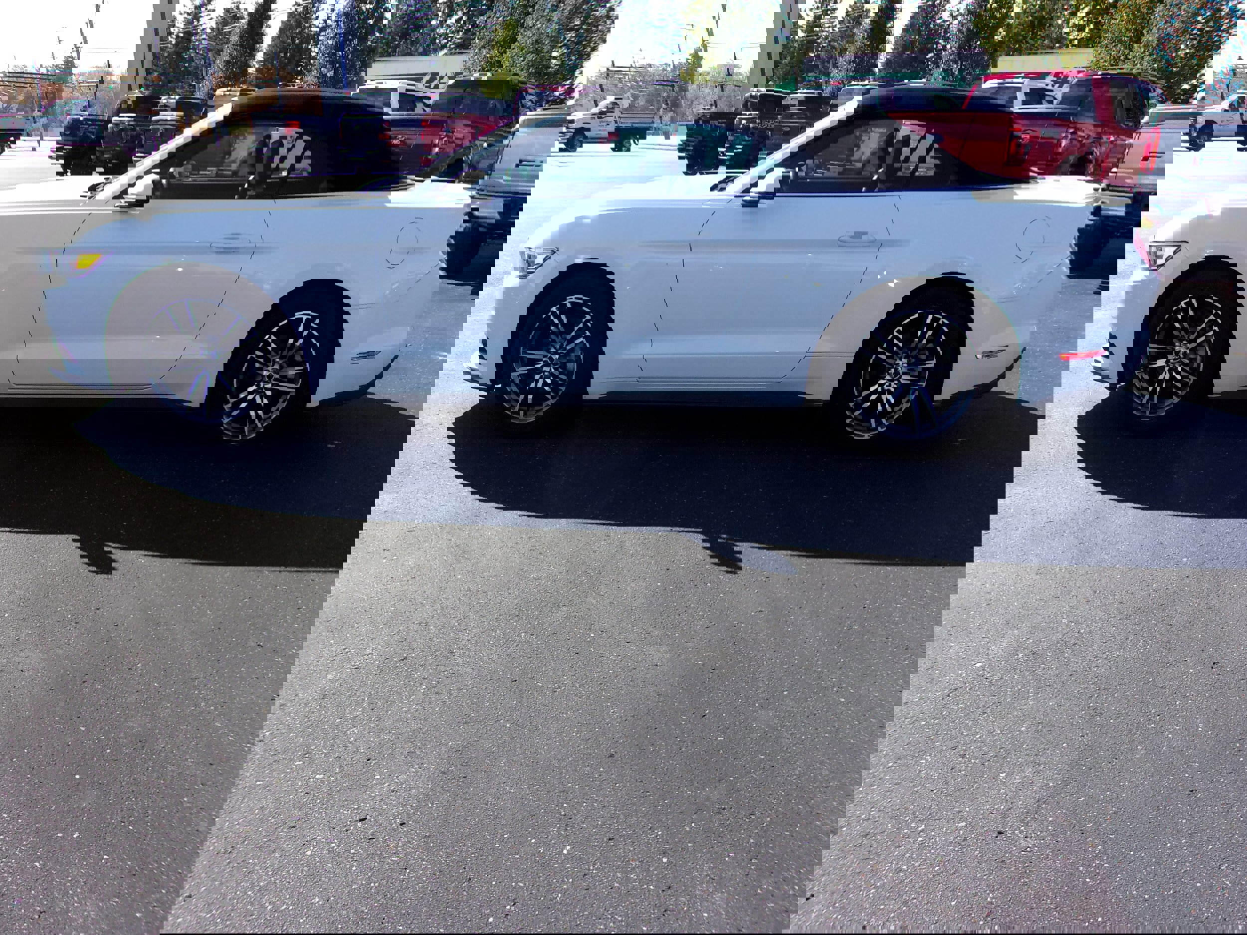 Used 2017 Ford Mustang Premium RWD image 2