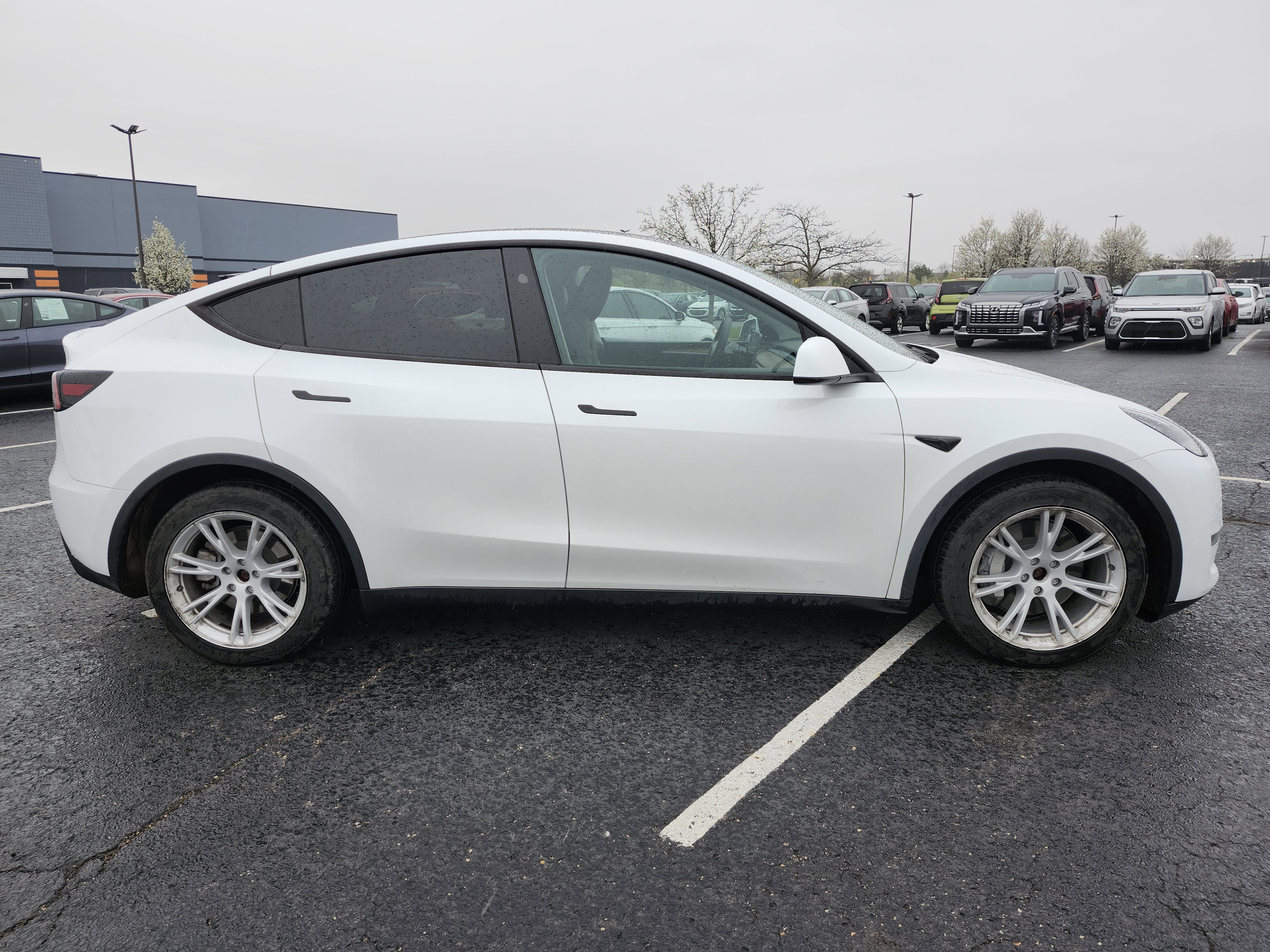 Used 2023 Tesla Model Y Long Range AWD/4WD image 16