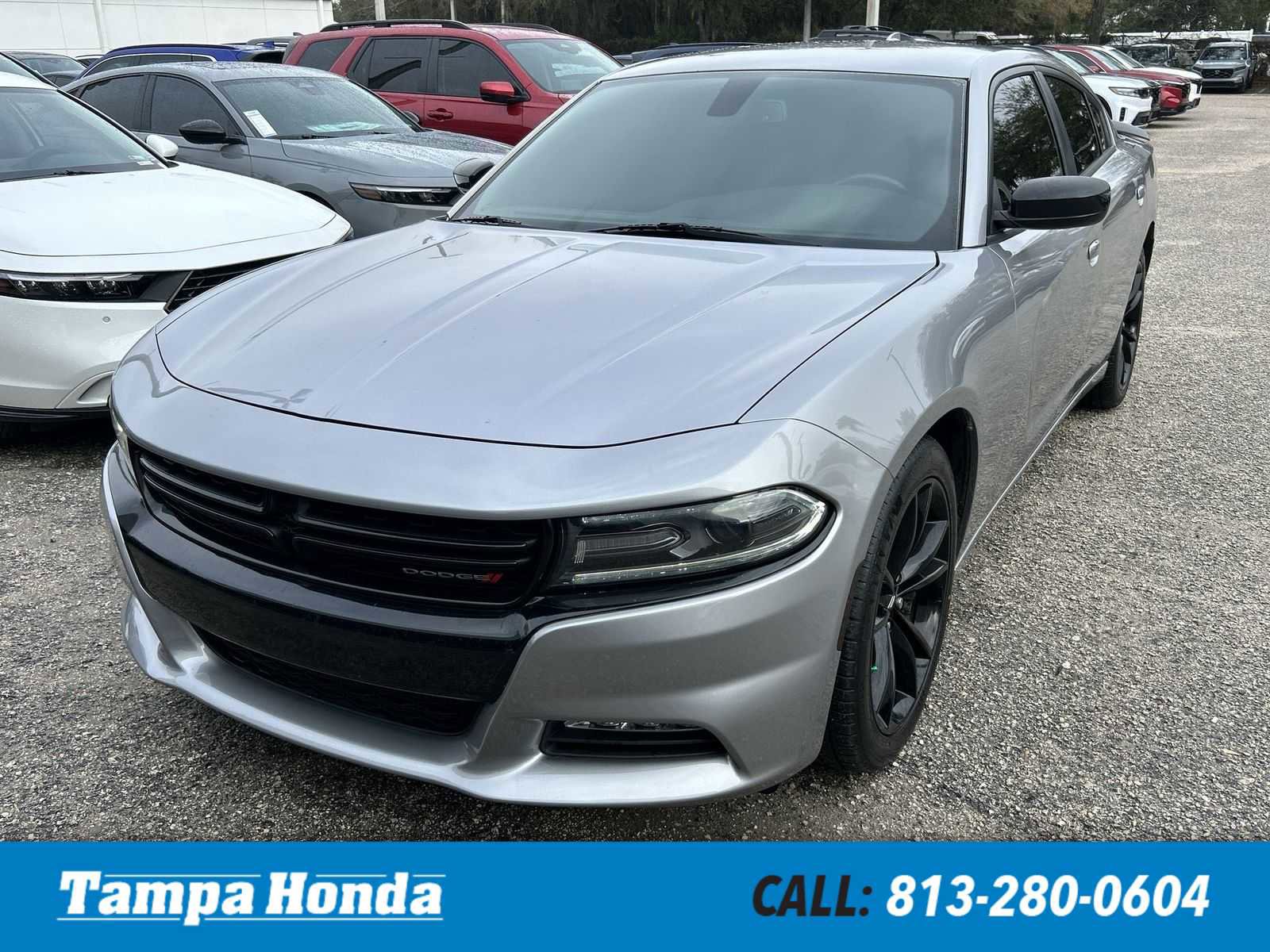 Used 2017 Dodge Charger SXT w/ Blacktop Package image 1
