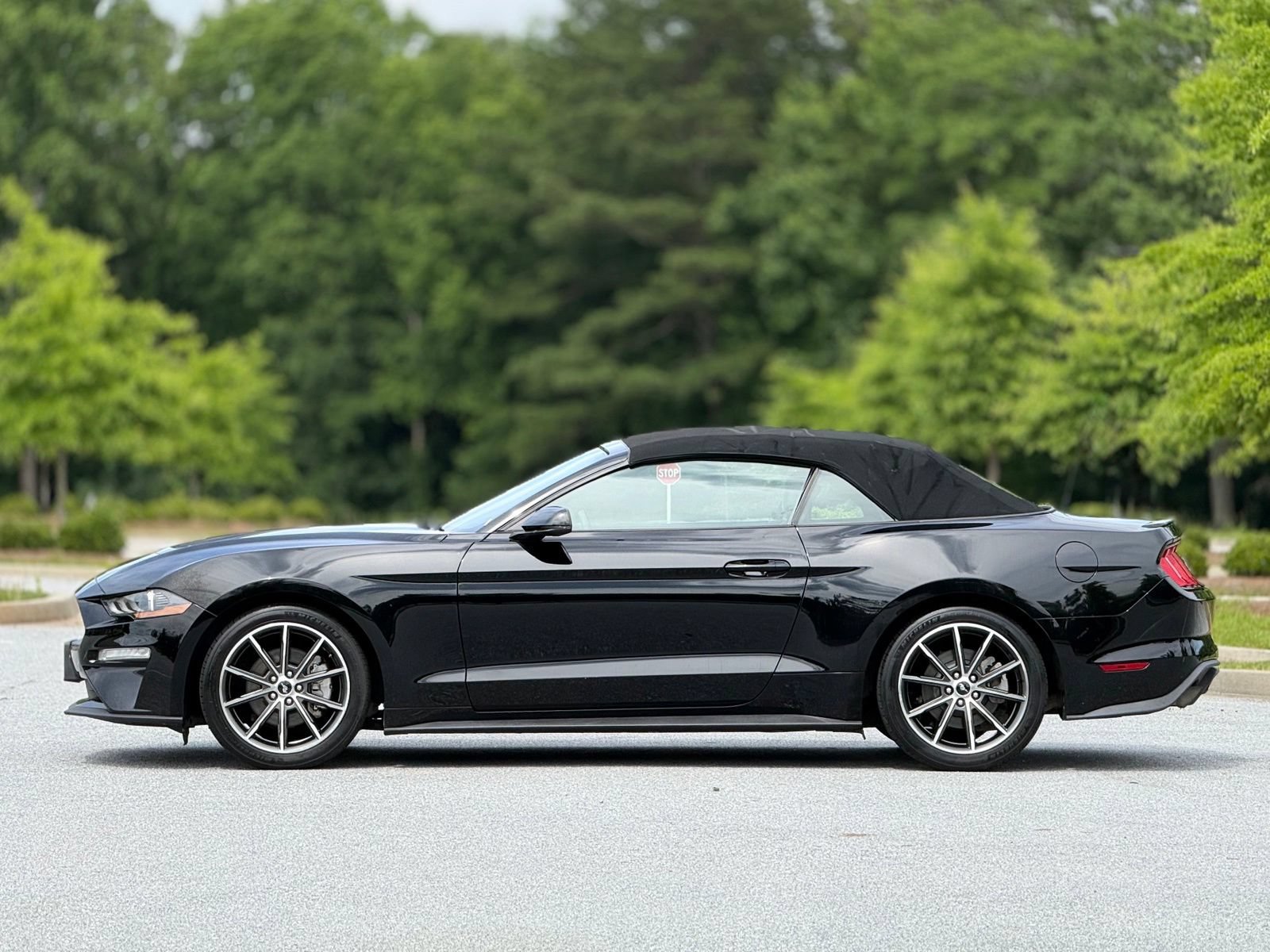 Used 2019 Ford Mustang Premium w/ Equipment Group 201A RWD image 9