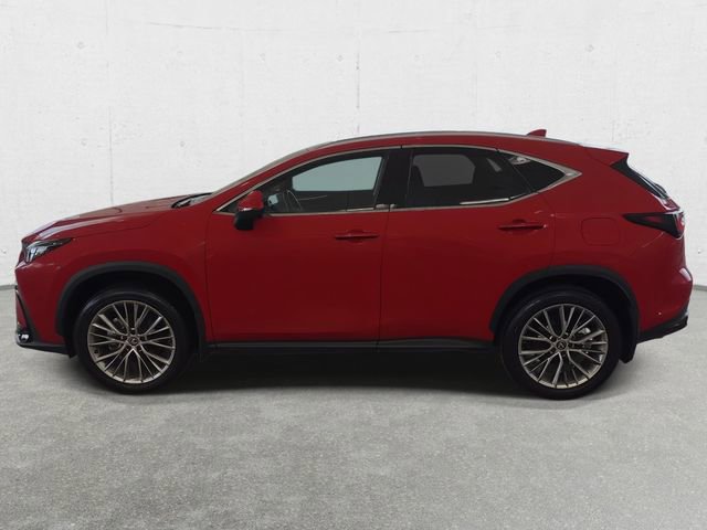 Used 2025 Lexus NX 350 AWD w/ Accessory Package (2T) image 8