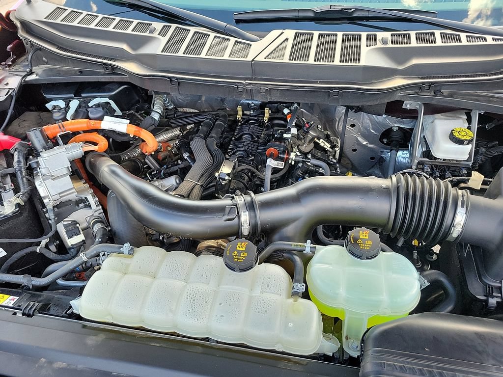 Used 2025 Ford F150 XLT w/ Equipment Group 301A Standard AWD/4WD image 16
