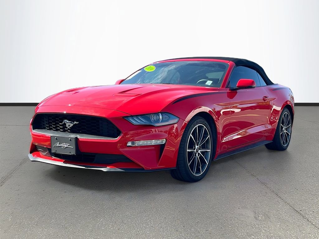 Used 2019 Ford Mustang Premium w/ Equipment Group 201A RWD image 3