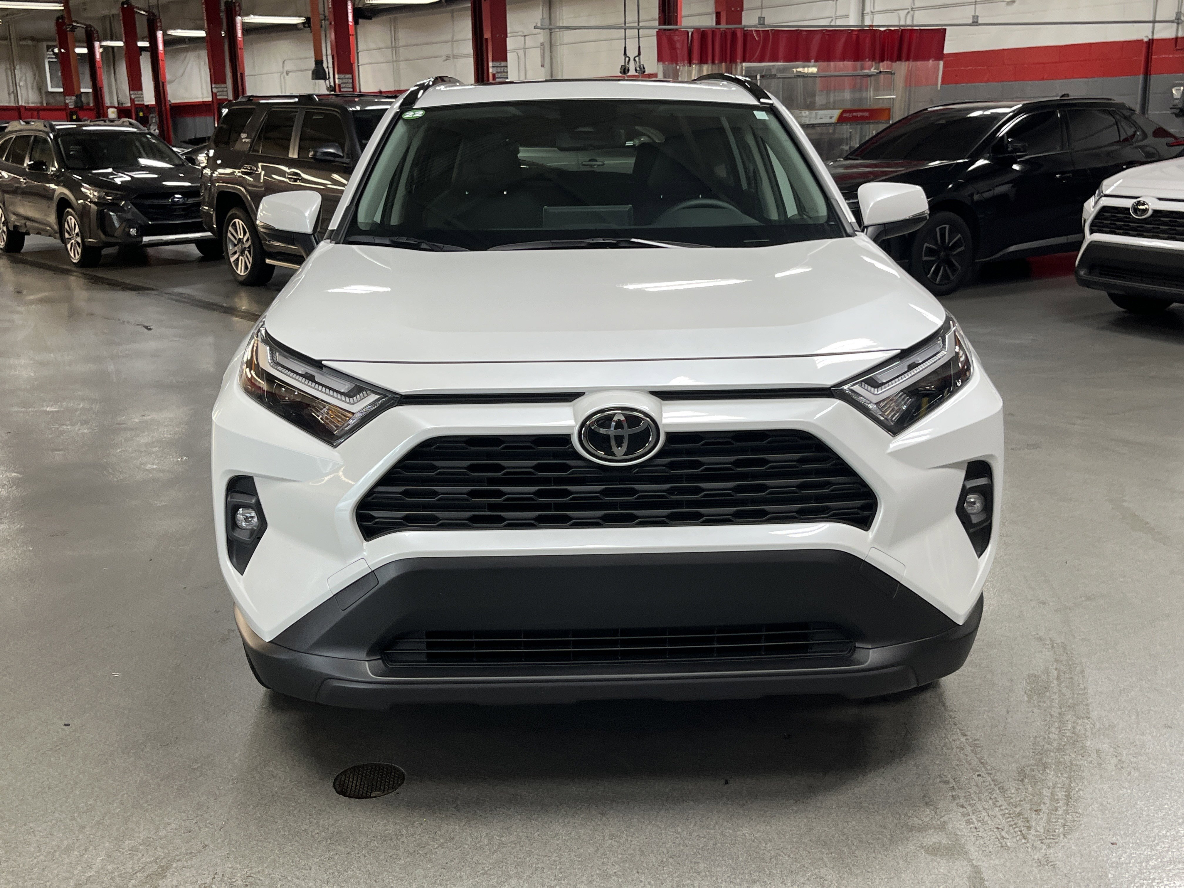 Certified 2025 Toyota RAV4 XLE Premium AWD/4WD image 3