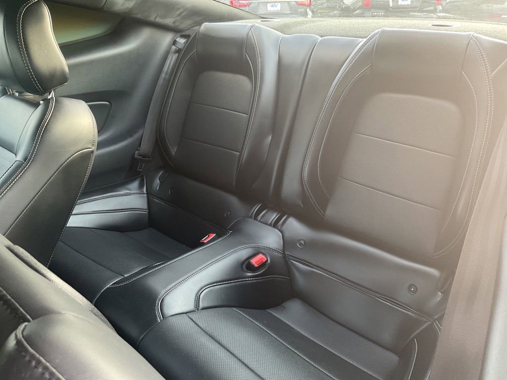 Used 2019 Ford Mustang Premium w/ Equipment Group 201A image 13