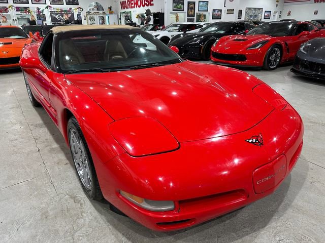Used 1999 Chevrolet Corvette Convertible image 8