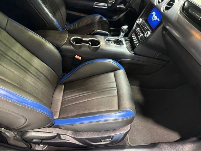 Used 2019 Ford Mustang EcoBoost w/ Equipment Group 101A image 25