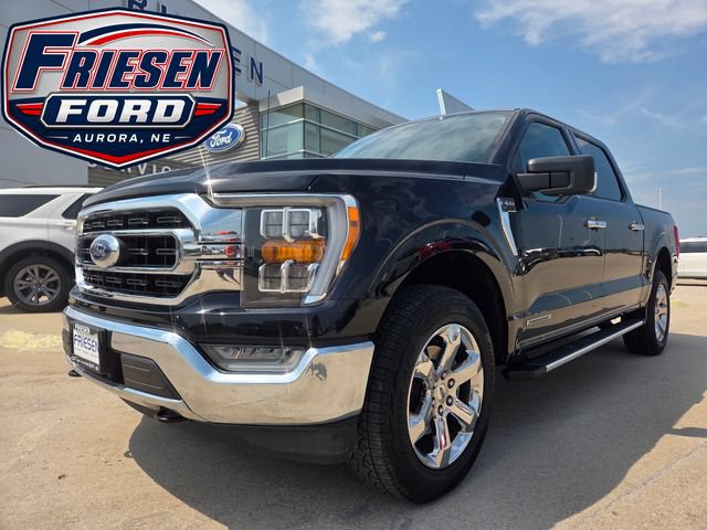 Used 2023 Ford F150 XLT w/ Equipment Group 302A High