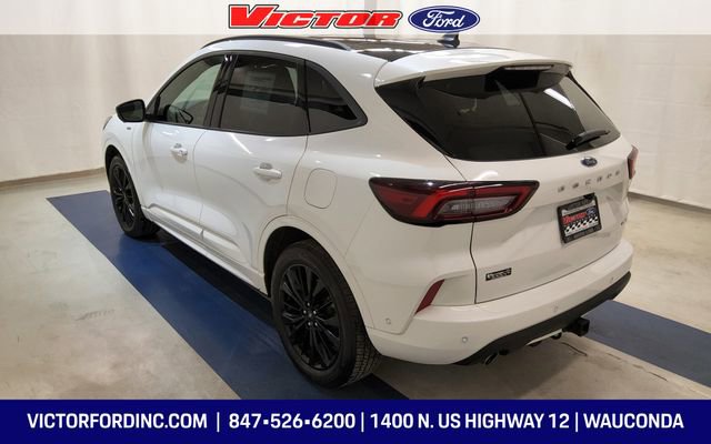 Used 2023 Ford Escape ST-Line Elite w/ Premium Technology Package image 3