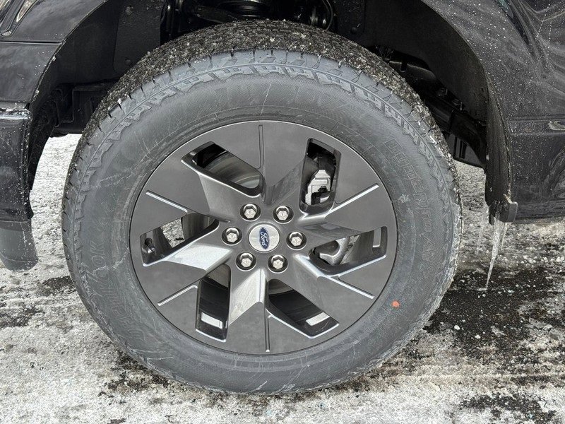 New 2025 Ford F150 STX w/ Equipment Group 200A image 5