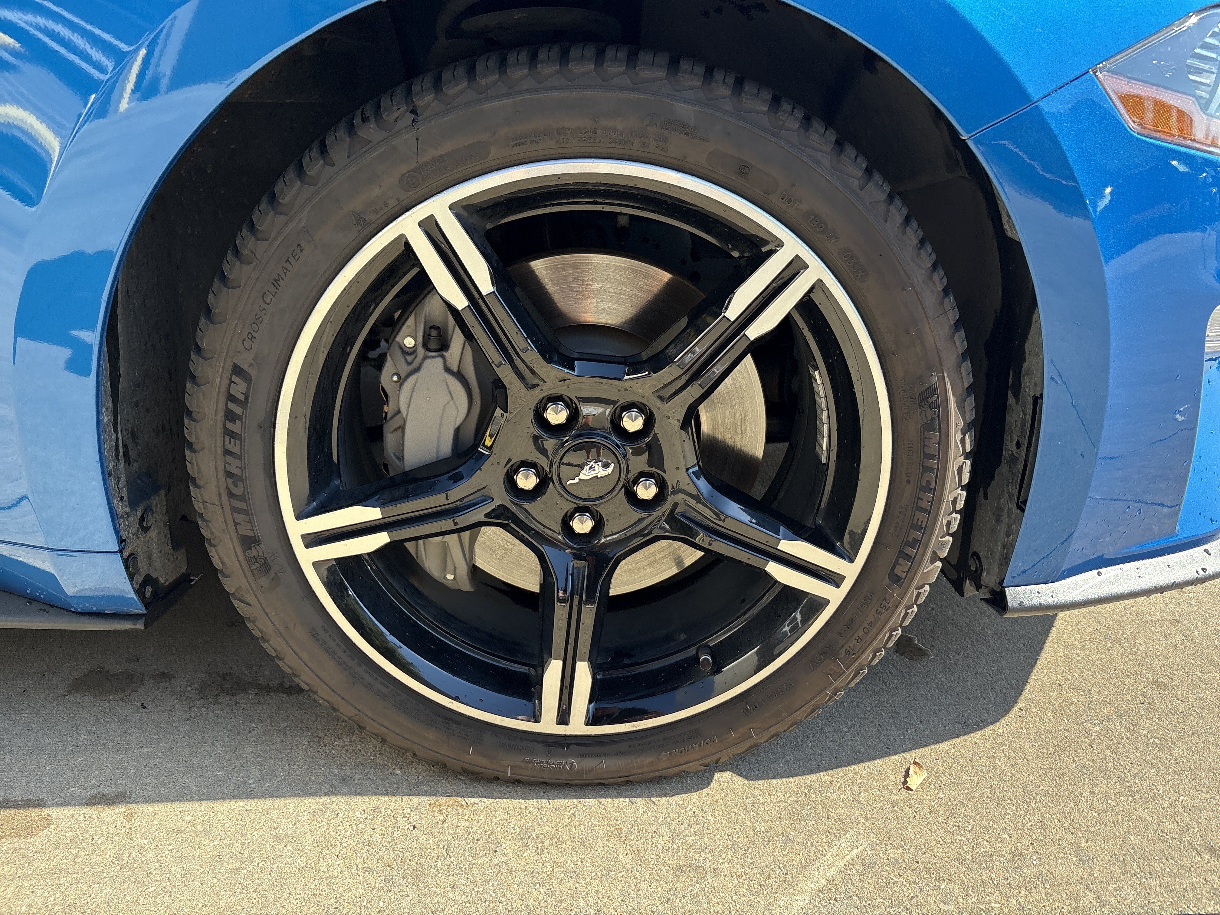 Used 2020 Ford Mustang GT Premium w/ Equipment Group 401A RWD image 13