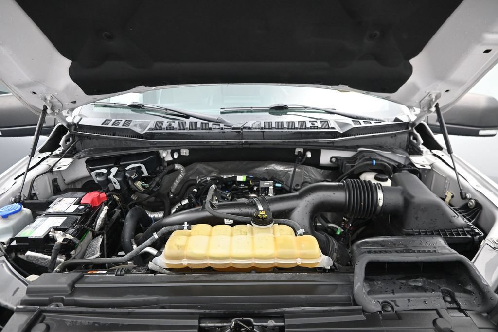 Used 2019 Ford F150 XLT w/ Equipment Group 302A Luxury AWD/4WD image 12