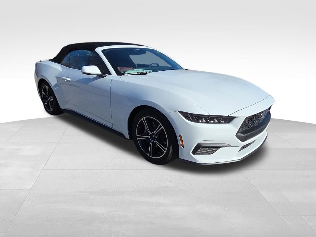 Used 2025 Ford Mustang Premium image 3