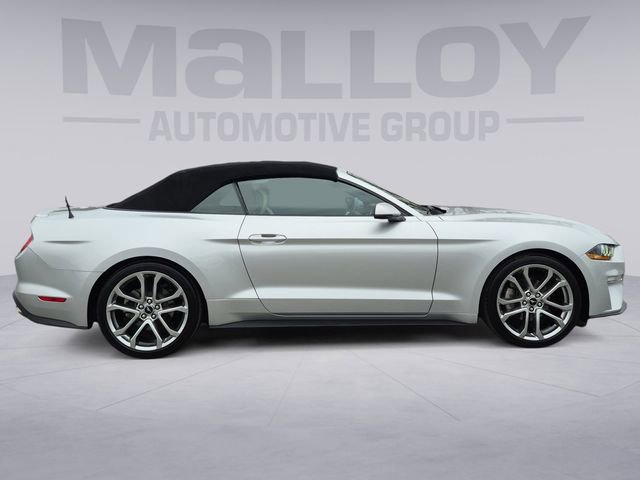 Used 2019 Ford Mustang Premium image 6