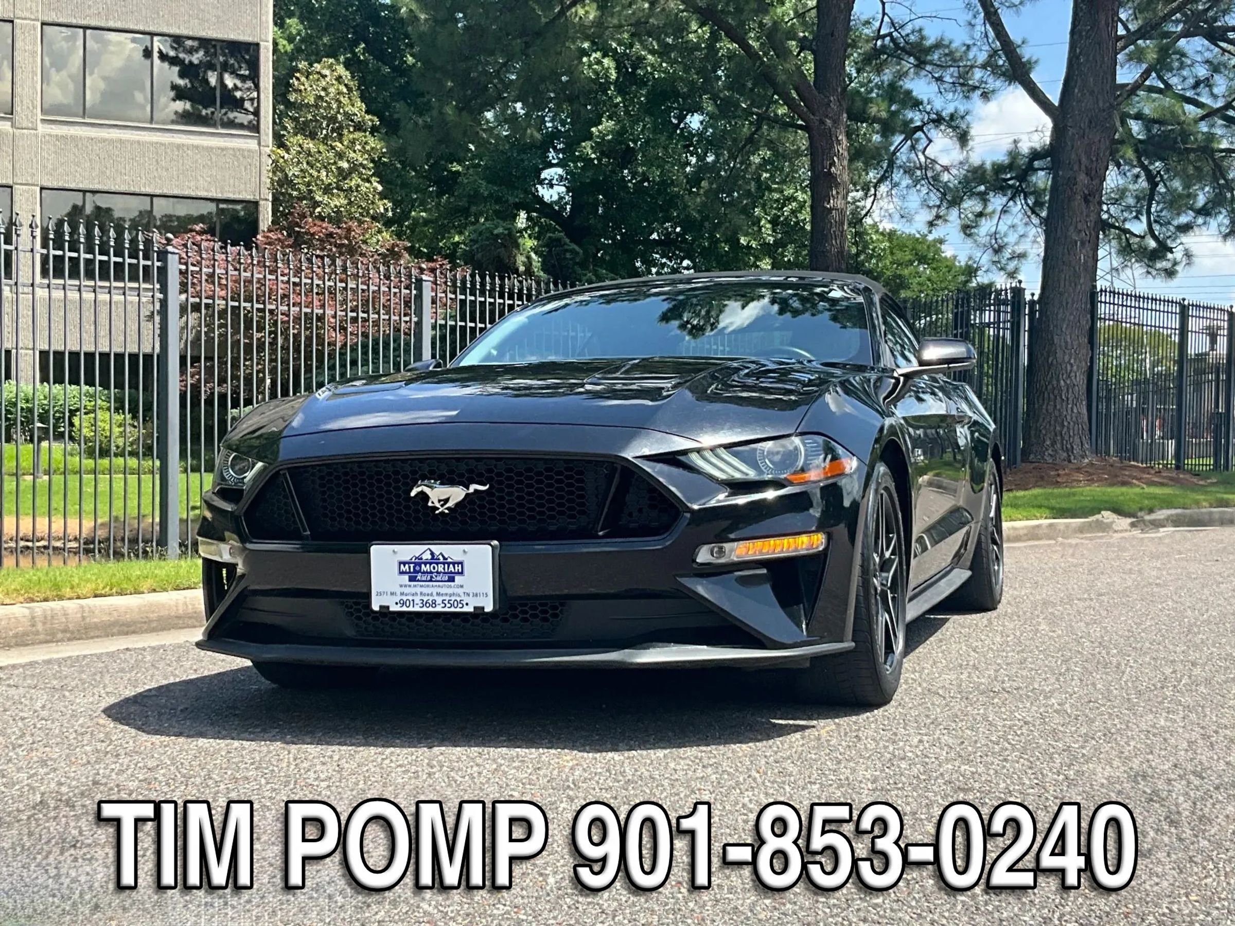 Used 2019 Ford Mustang GT Premium w/ Equipment Group 401A RWD image 2