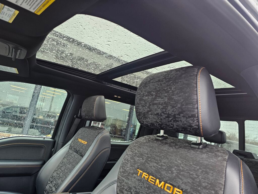 Certified 2025 Ford F150 Tremor image 18