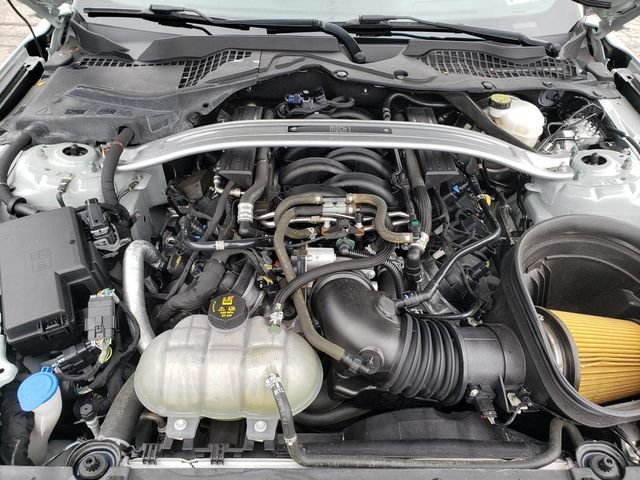 Used 2021 Ford Mustang Mach 1 w/ Equipment Group 700A RWD image 11