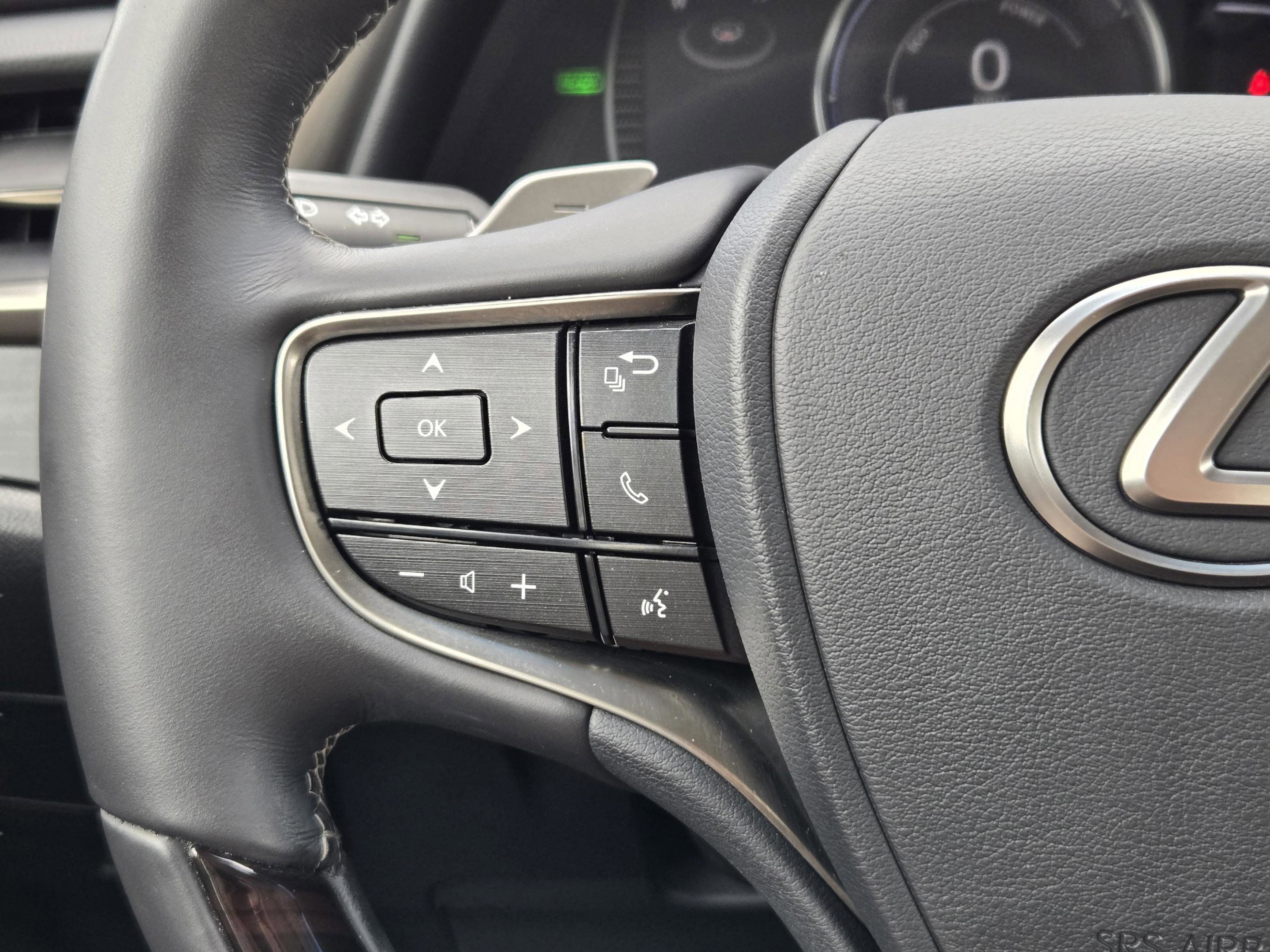 Used 2019 Lexus ES 300h w/ Premium Package image 29