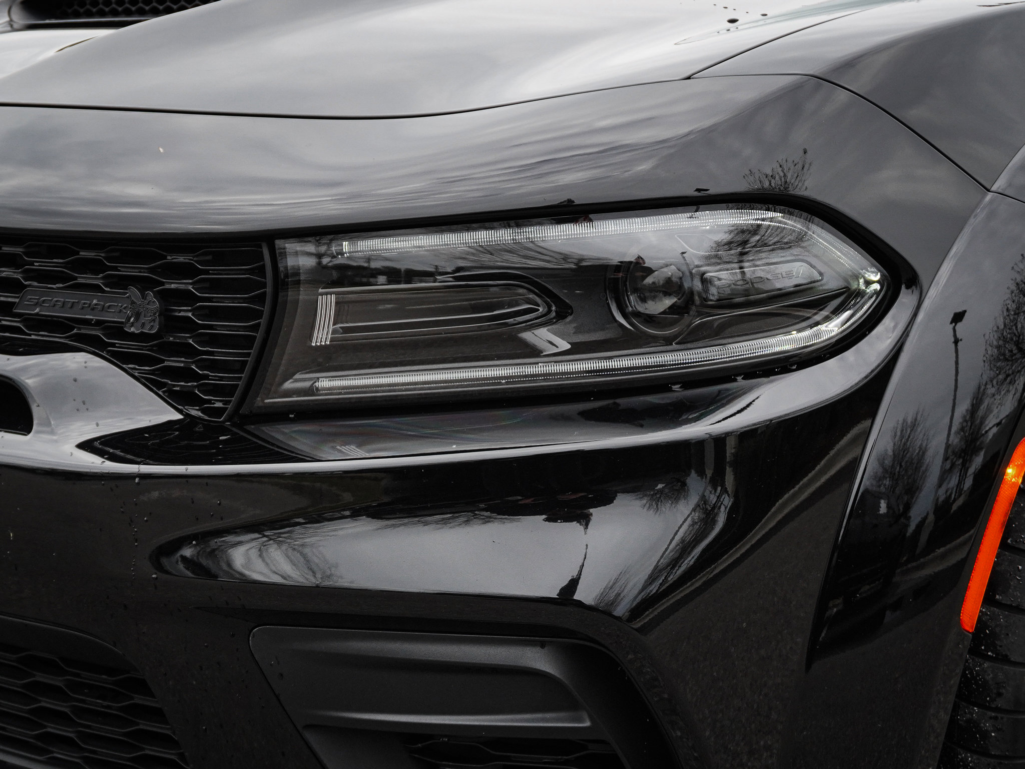 Used 2023 Dodge Charger Scat Pack image 7