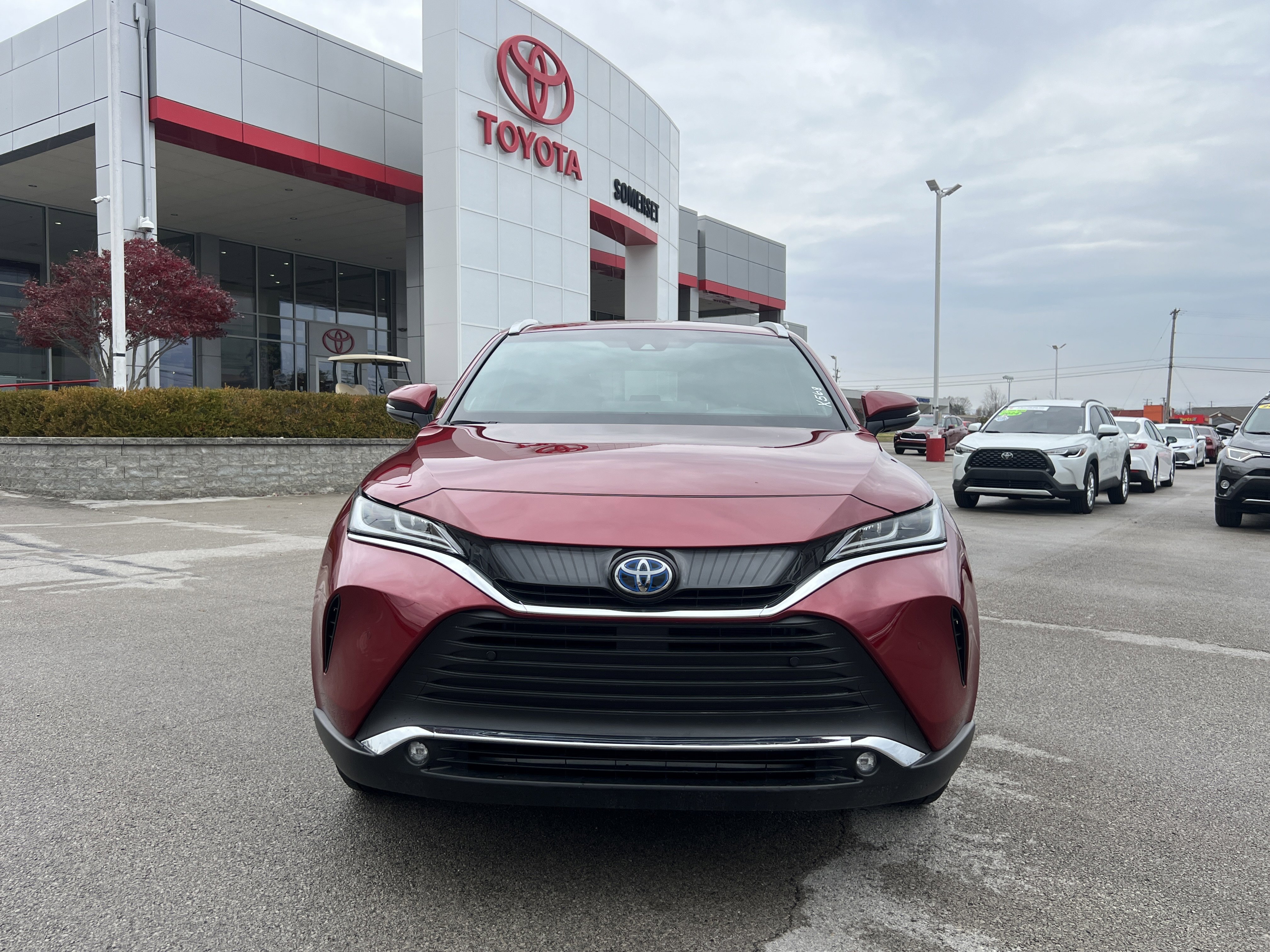 Certified 2024 Toyota Venza XLE image 6