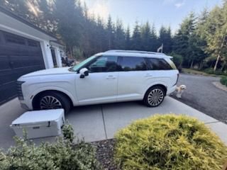 Used 2026 Hyundai Palisade Calligraphy AWD/4WD image 9