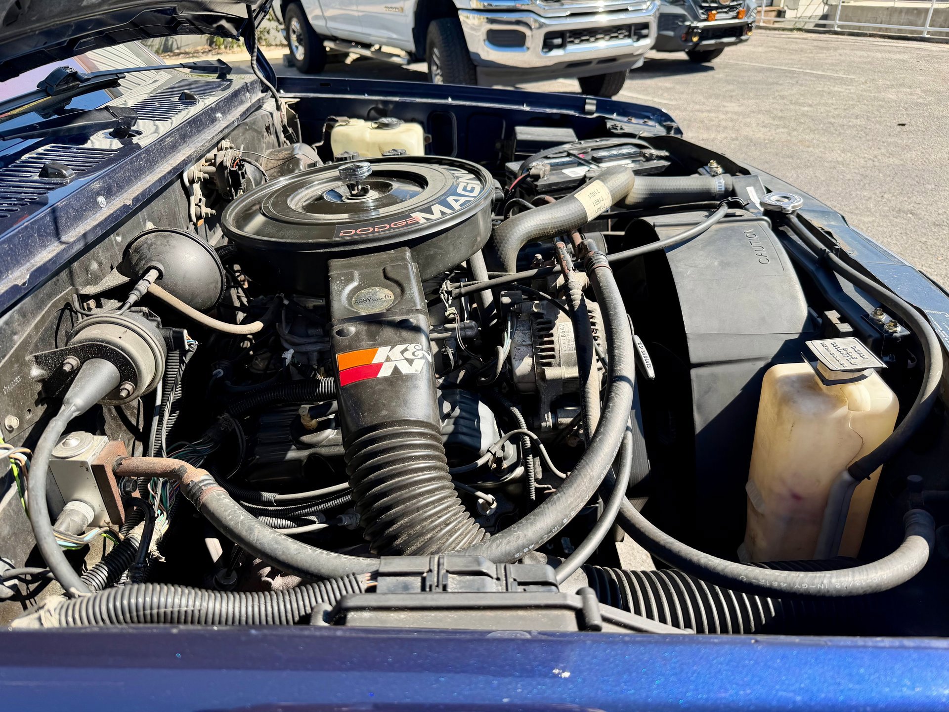 Used 1993 Dodge Dakota 2WD Club Cab image 59