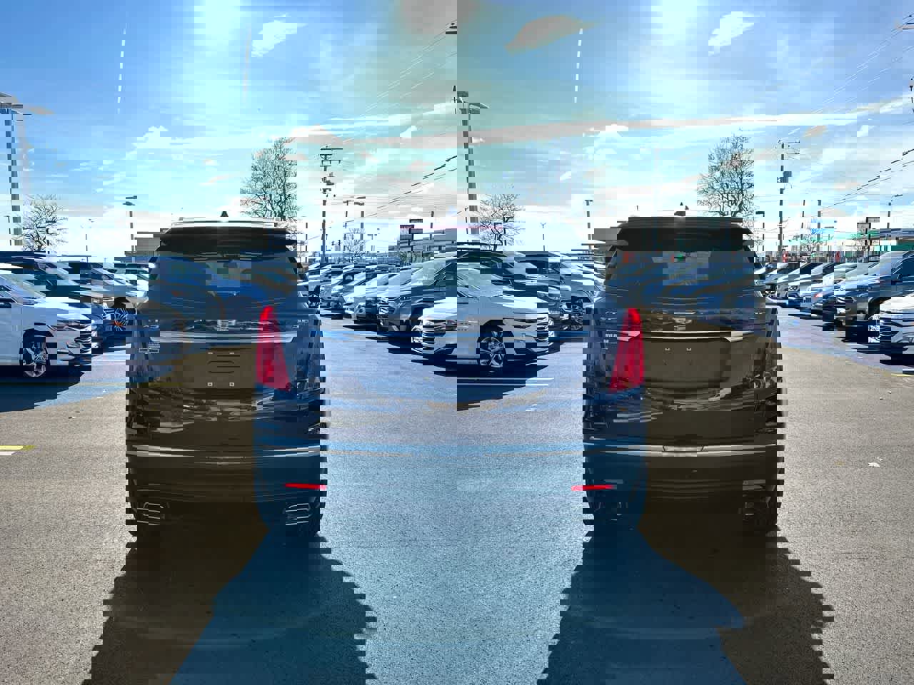 Used 2017 Cadillac XT5 Luxury w/ Driver Awareness Package image 12