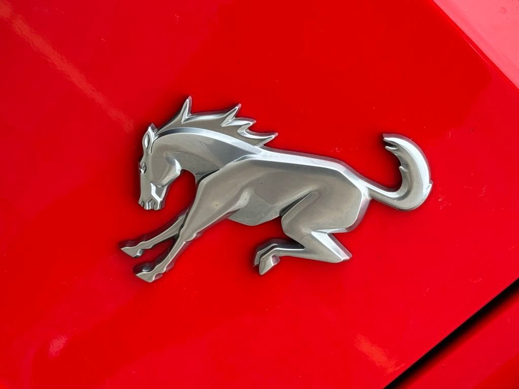 Used 2021 Ford Bronco Big Bend image 11