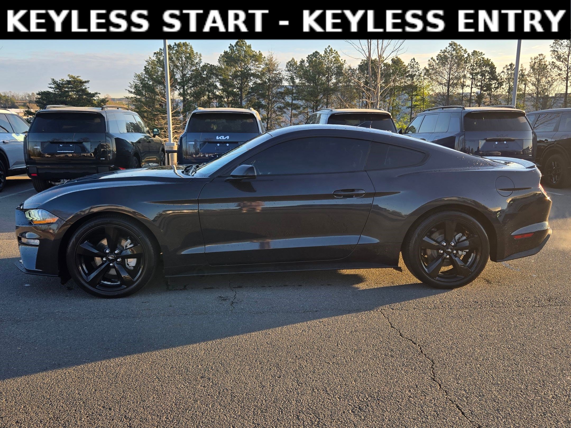 Used 2023 Ford Mustang EcoBoost w/ Equipment Group 101A image 4