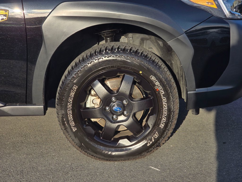 Used 2025 Subaru Outback Wilderness AWD/4WD image 9