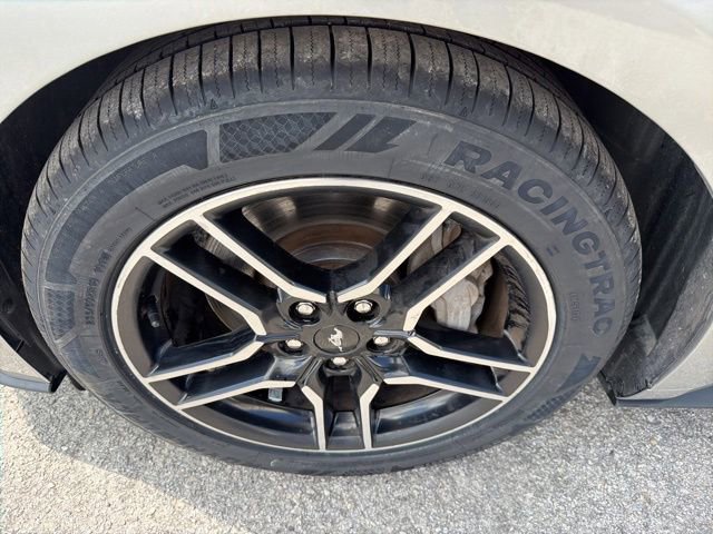 Used 2020 Ford Mustang GT w/ Equipment Group 301A RWD image 14
