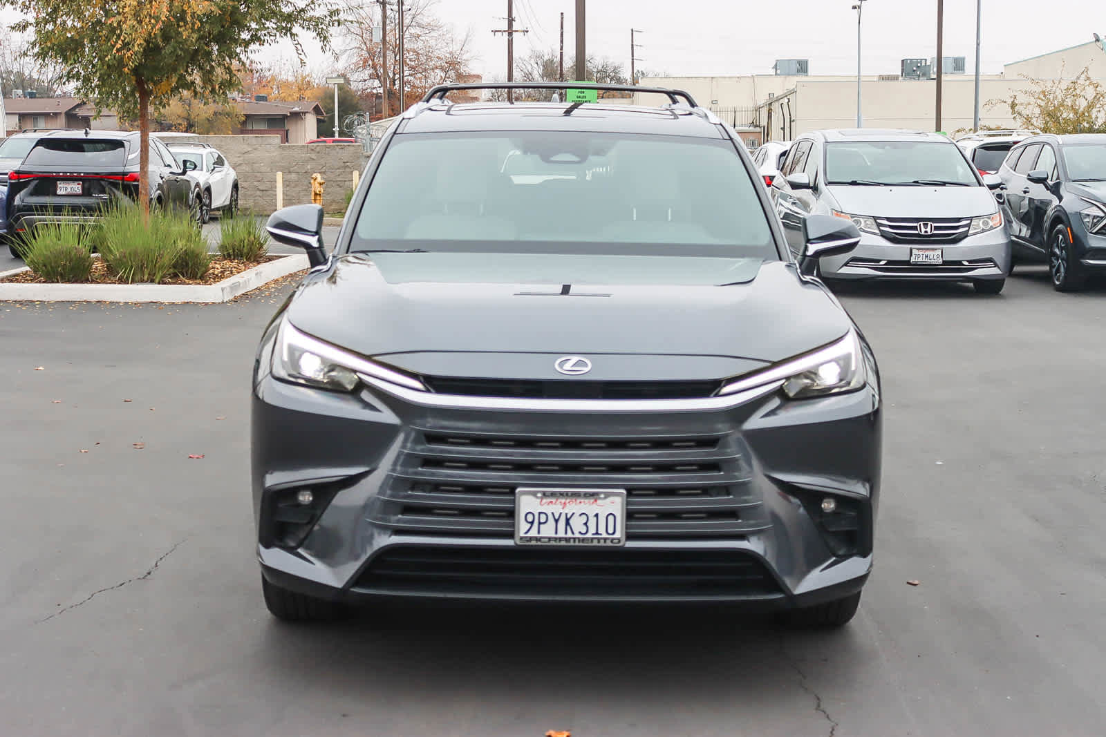 Certified 2024 Lexus TX 350 AWD image 6