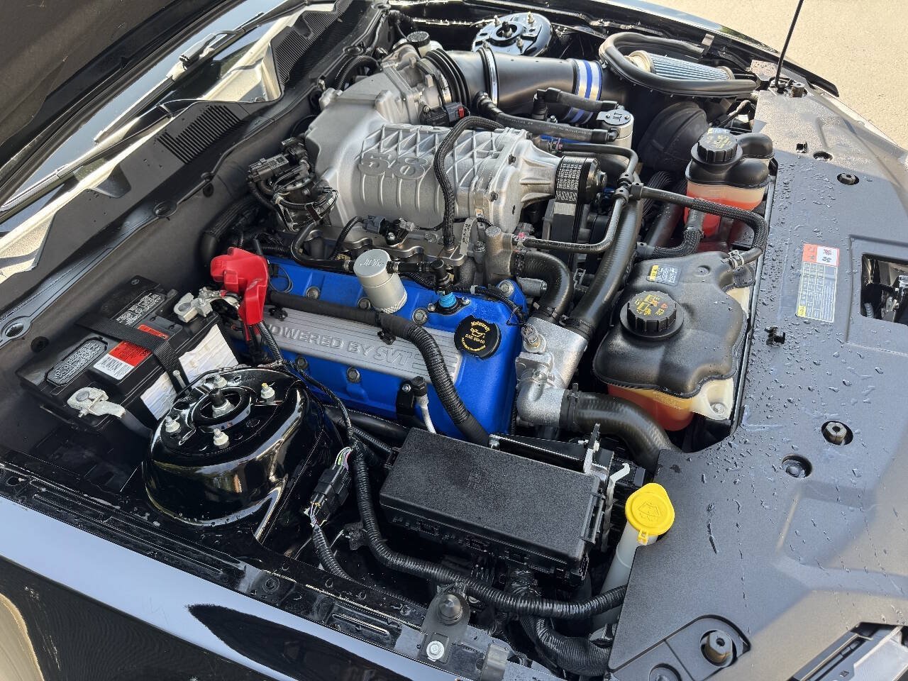 Used 2014 Ford Mustang Shelby GT500 w/ Equipment Group 821A RWD image 15